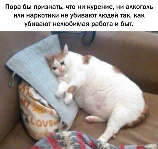 Картинки с надписями и анекдоты 17.09.19