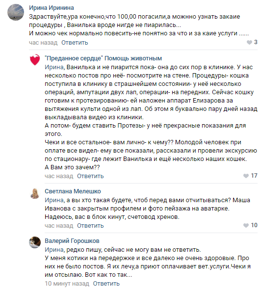 Помогите вернуть кота! Приют "Преданное сердце" украл кота и не отдает!-2