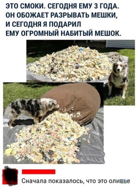 Забавные комментарии из социальных сетей 04.11.19