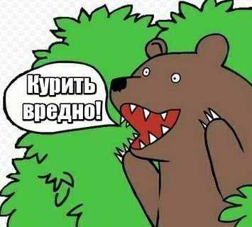 Если на вас напал медведь