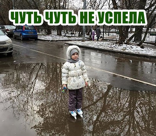 Кретинки