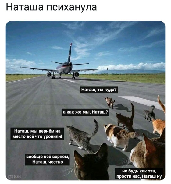 Привет друзья! Много новеньких, будем знакомы-я Пашкетт