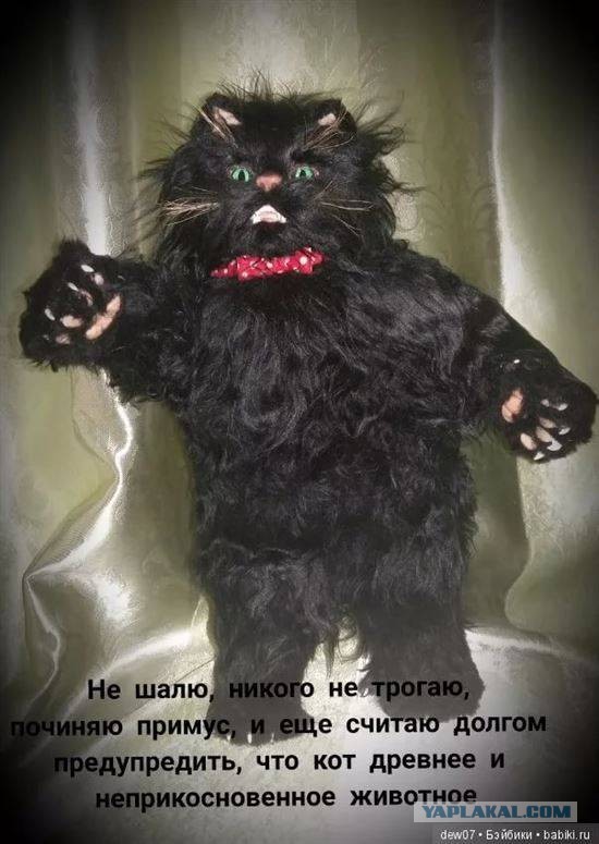 Интересные факты о жизни Михаила Булгакова — писателе, чье имя всегда было связано со множеством мифов