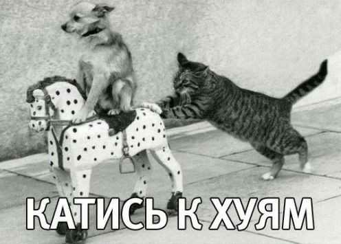 Тренер в шоке, федерация в шоке