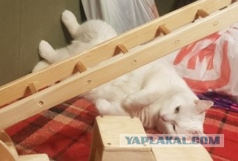 Вечернее рукоделие с сыном