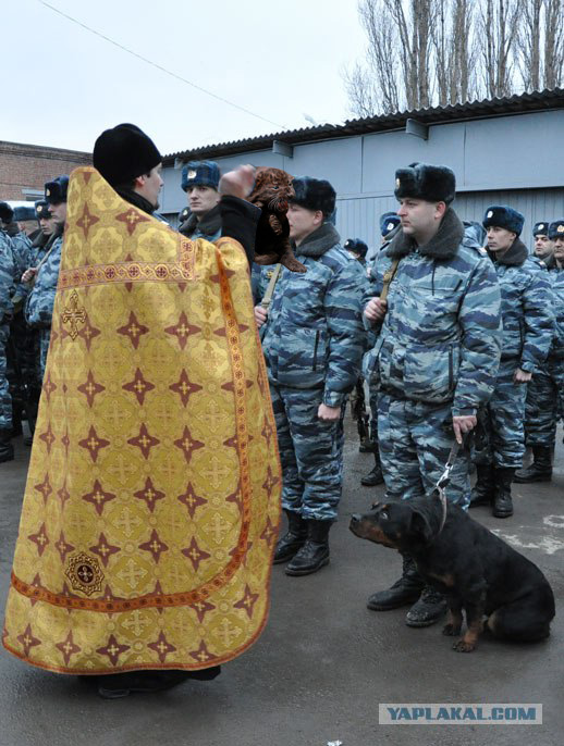 Во имя отца, сына....