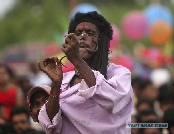 Заклинатели змей