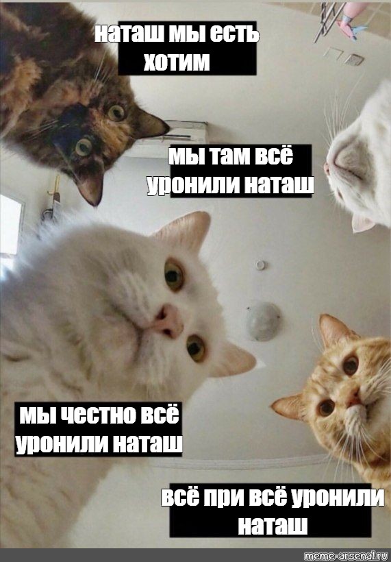 Мемы: последние новости на сегодня, самые свежие сведения 72.ру - новости Тюмени