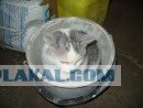 Кот в сумке