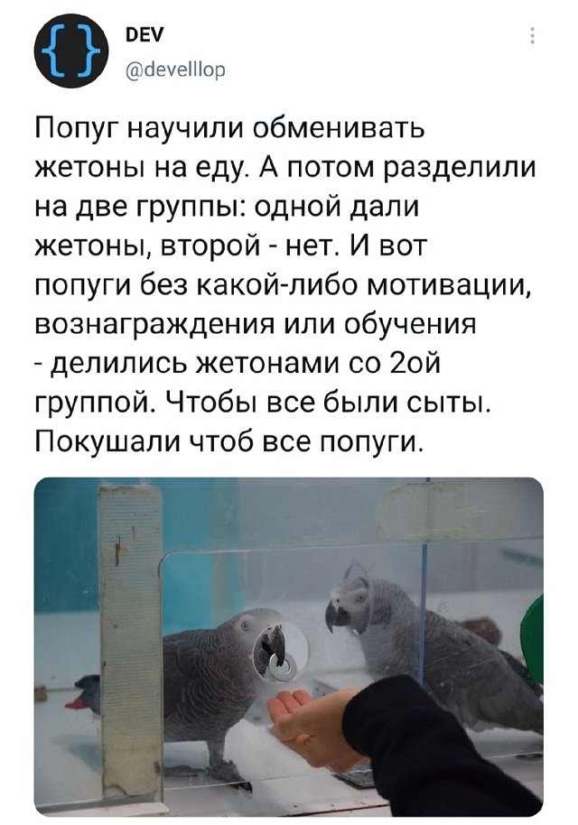 Картинки и мемы для настроения 018