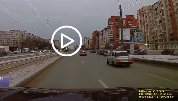 Обезьяны на дороге