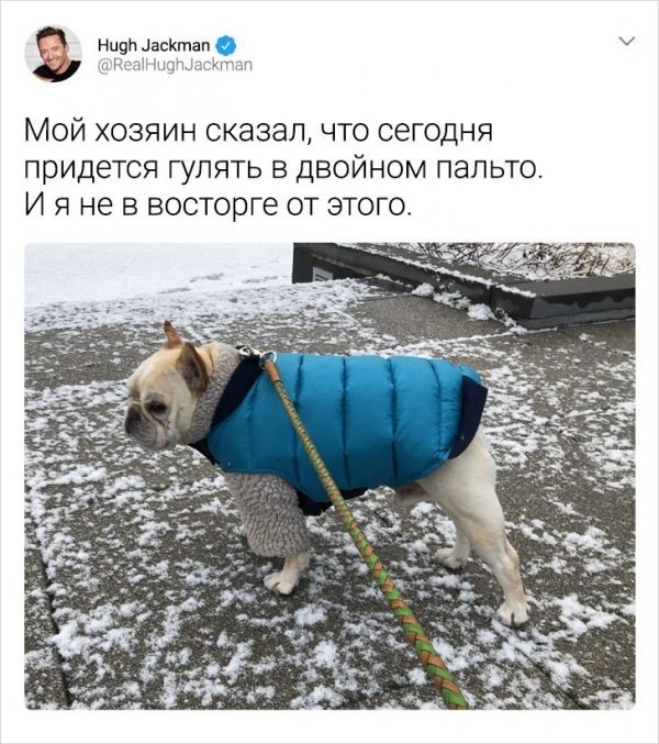 Картинки и мемы для настроения 006