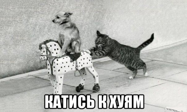 Женщине не знакомы такие слова как «мораль» и «совесть»