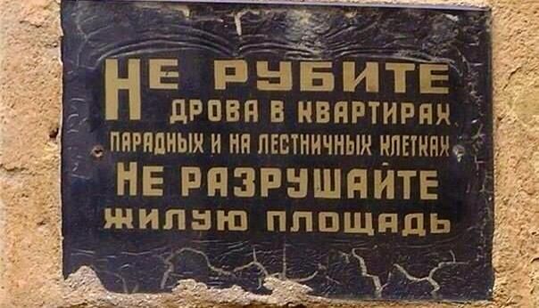 Всяческие картинки 12.01.2022
