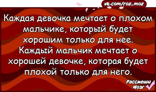 Невестка взялась делить нашу квартиру