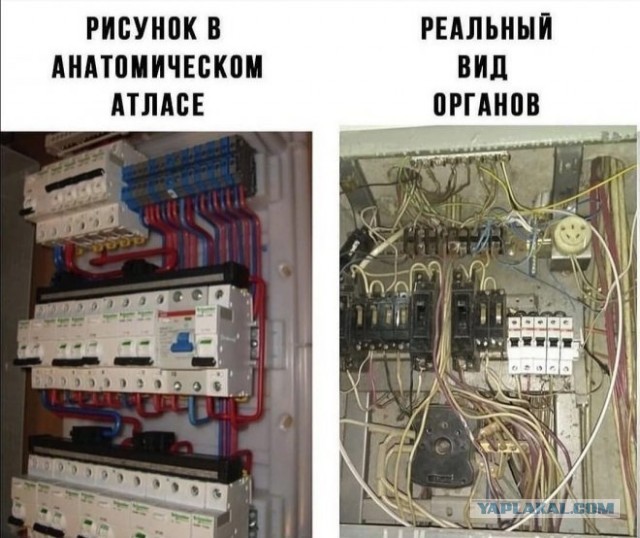 Пост картинок разных