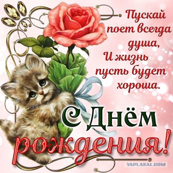 Межсезонье 2021-2022