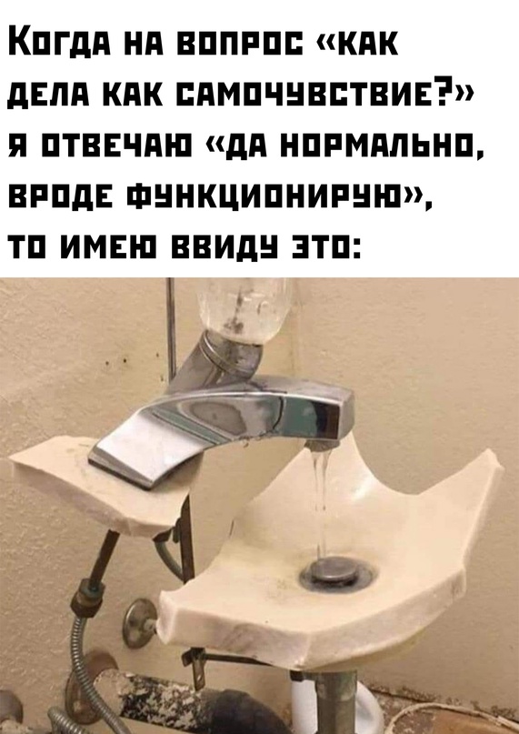 Весёлый полтишок 14.03