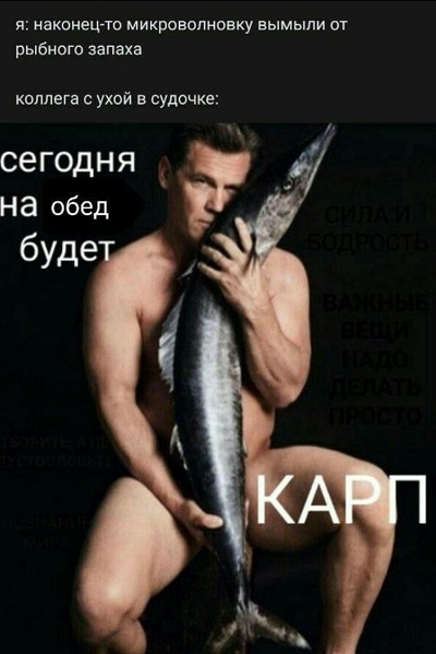 Подборка картинок из загруженного в сети