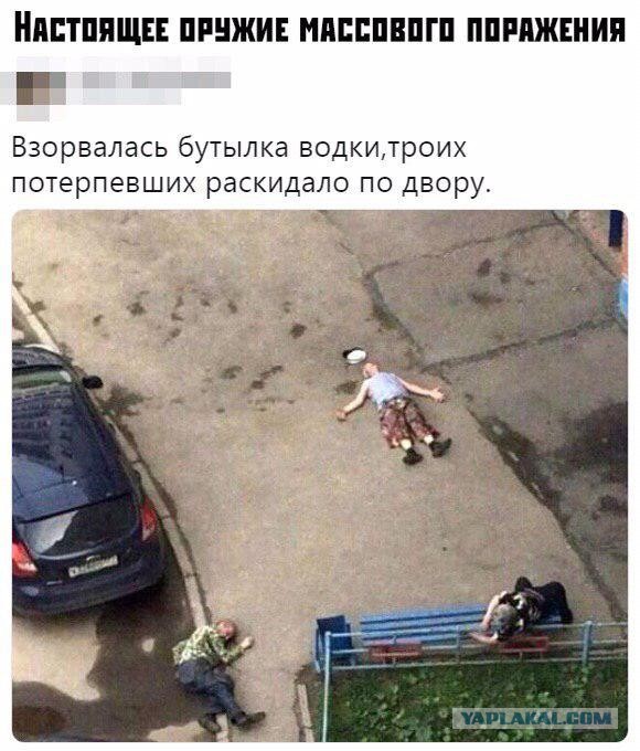 Так себе картинки 06.09.22