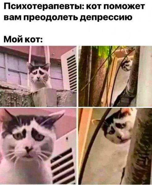 Деградация лайт 13.10.2022