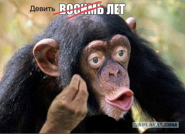 Путин поручил Шойгу ввести режим прекращения огня с 12:00 6 января до 24:00 7 января