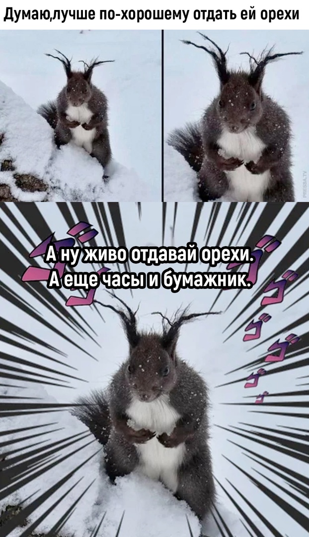 Так себе картинки 10.01.23