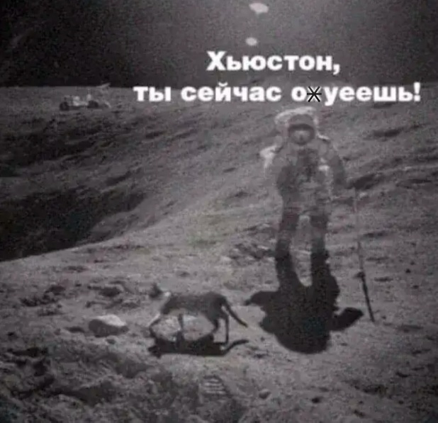 Нуштош 29.03.2023