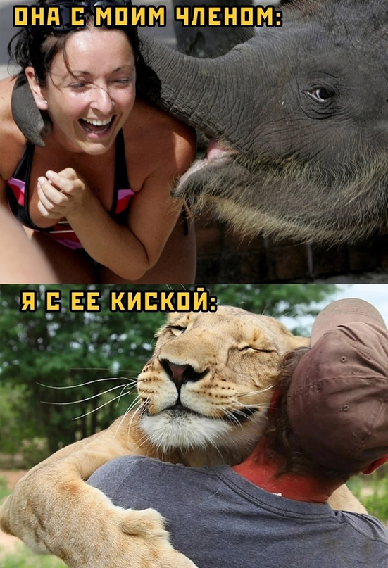 Немного картинок для настроения - 161