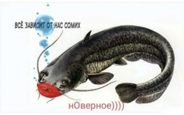 Простата хуже воровства