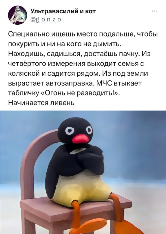Весёлый полтишок 08.07.23