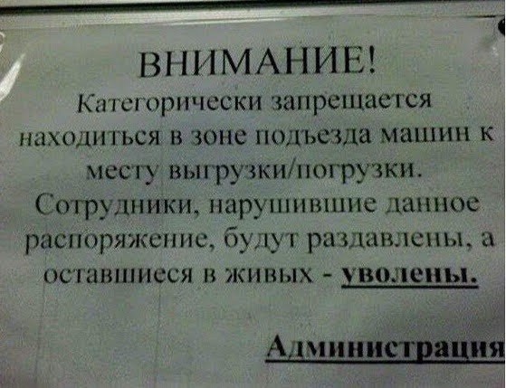 Весёлый полтишок 19.07.23