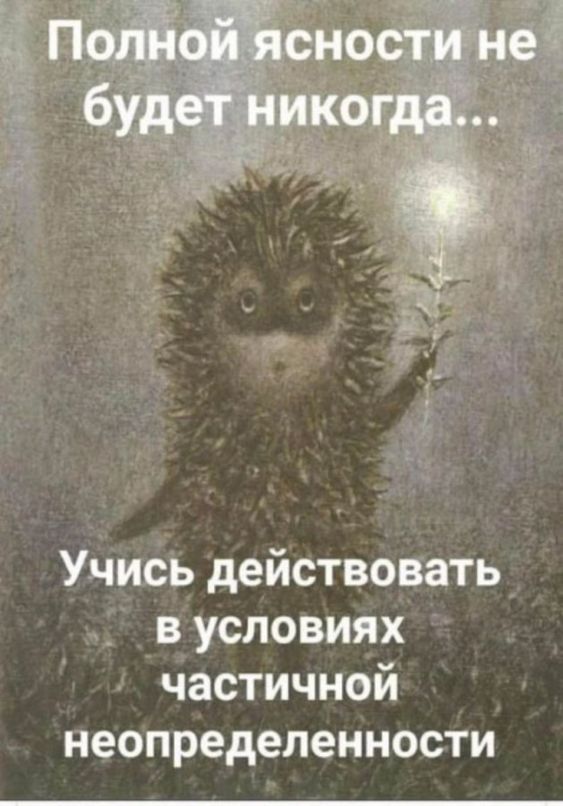 Прикольные и просто красивые картинки 21.07.2023