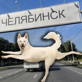 Мой личный опыт: Все “прелести” пьяных знакомств с женщинами