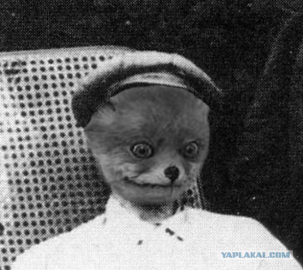 Защищаю Ильича!