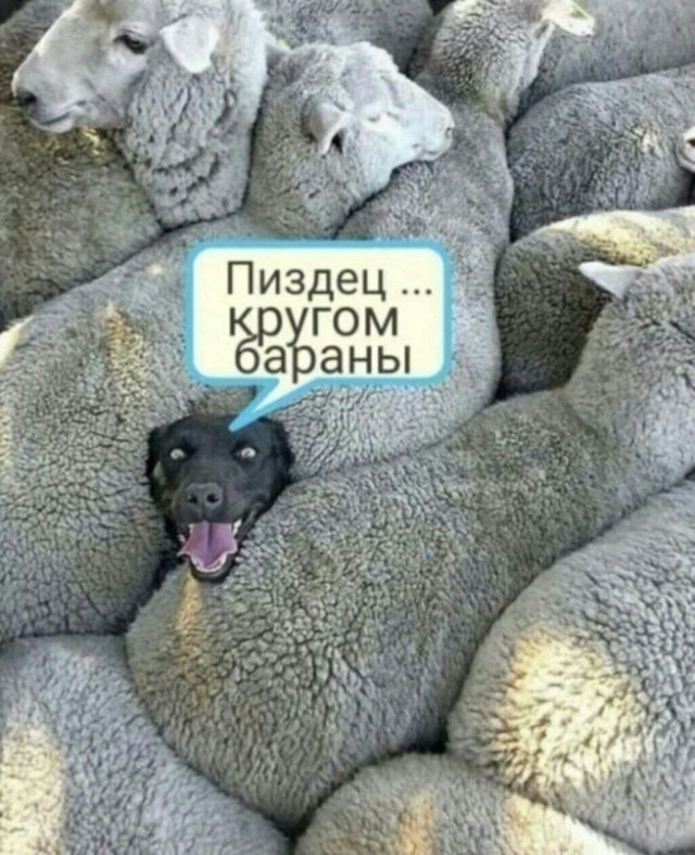 Это другое