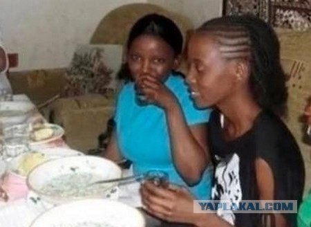 День студента