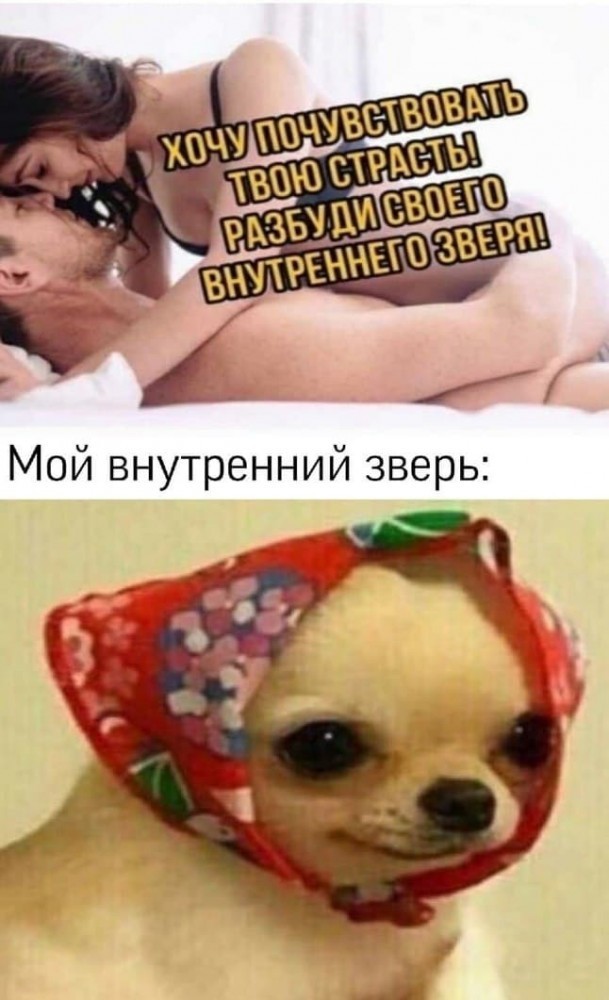 Десять пятничных картинок