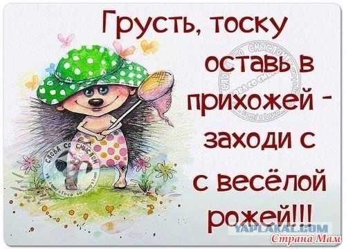Напишите пожалуйста что-то хорошее