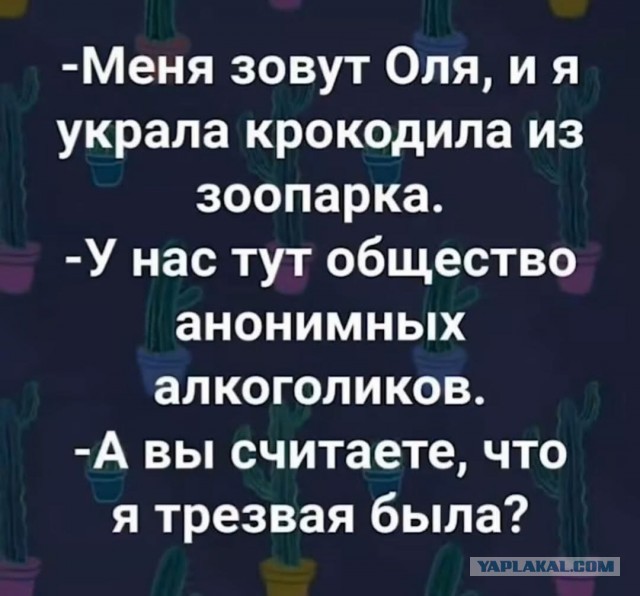 Баяны, очень баяны, но думаю улыбнёт