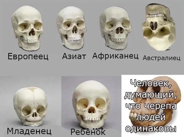 Сборная солянка