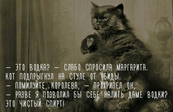 Джентльмены, посоветуйте даме напиток к ужину