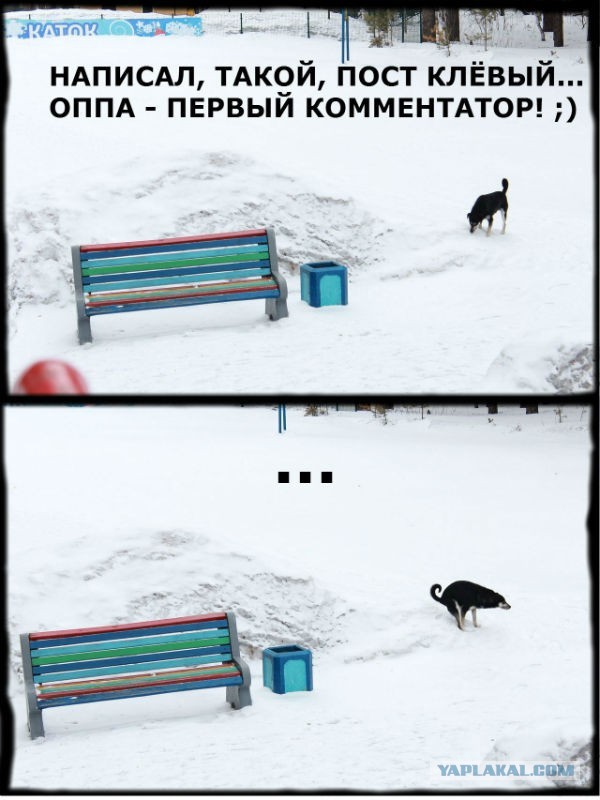 О новичках на ЯПе.