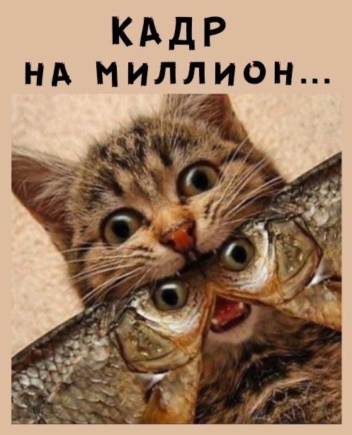 Прикольные и просто красивые картинки 16.05.2025