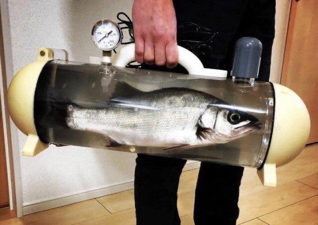 Креатив на грани: 15 фото абсурдных дизайнерских идей со специфическим исполнением