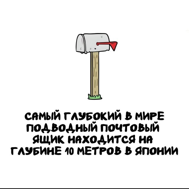 Интересные и короткие факты на все случаи жизни 05.01.26