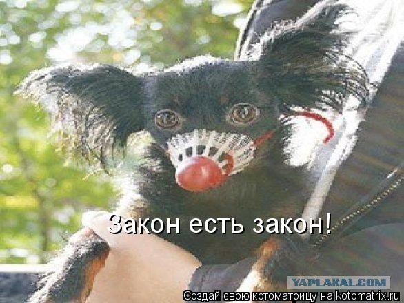 Попытка образумить владельцев собак