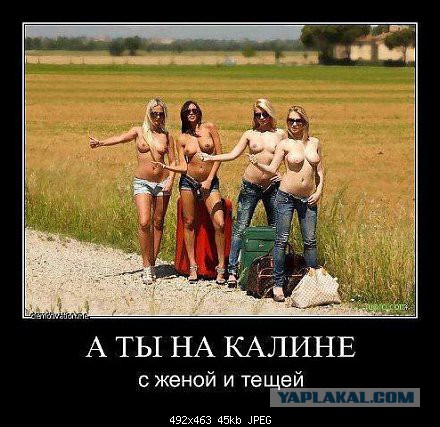 Позитивные картинки и комментарии.