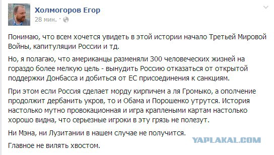 На Украине рухнул Боинг-777 малайзийских авиалиний