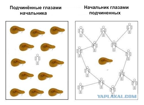 Занимательная социология